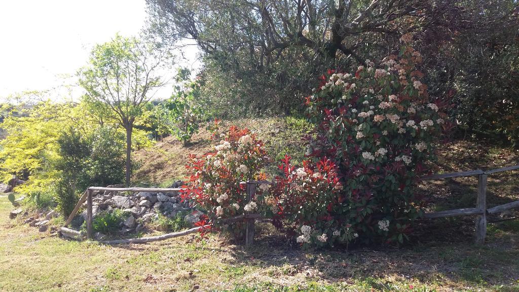 아셰아 Casa Vacanze Poggio Degli Ulivi 빌라 외부 사진