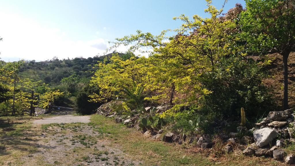 아셰아 Casa Vacanze Poggio Degli Ulivi 빌라 외부 사진