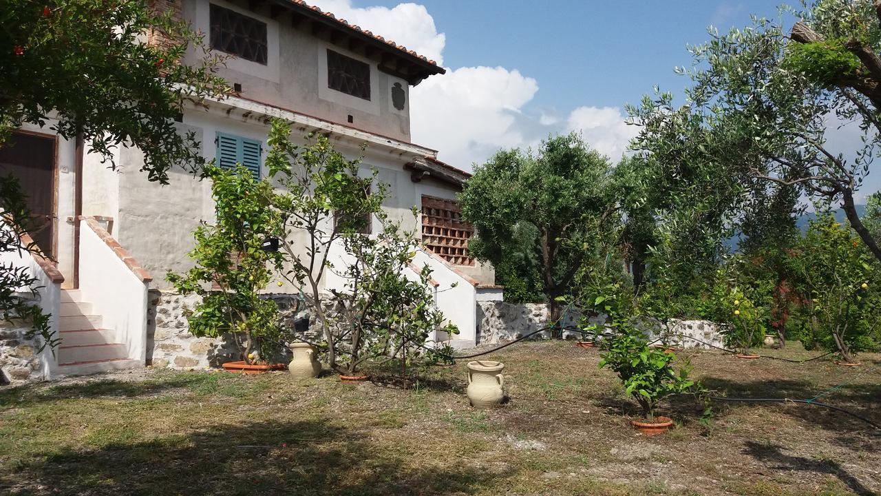 아셰아 Casa Vacanze Poggio Degli Ulivi 빌라 외부 사진