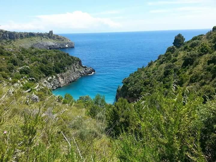 아셰아 Casa Vacanze Poggio Degli Ulivi 빌라 외부 사진