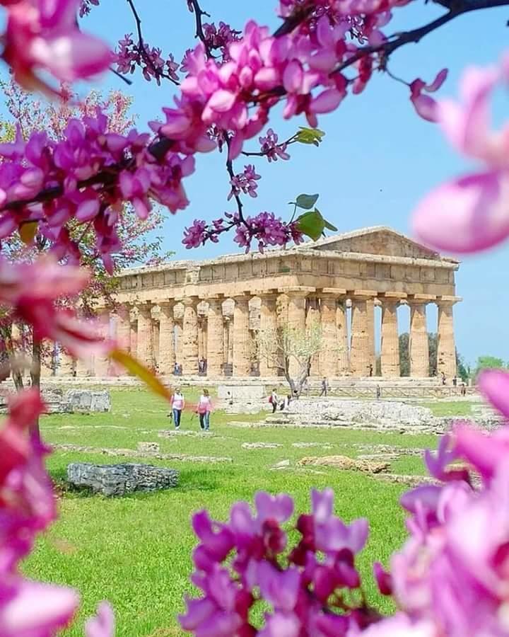 아셰아 Casa Vacanze Poggio Degli Ulivi 빌라 외부 사진