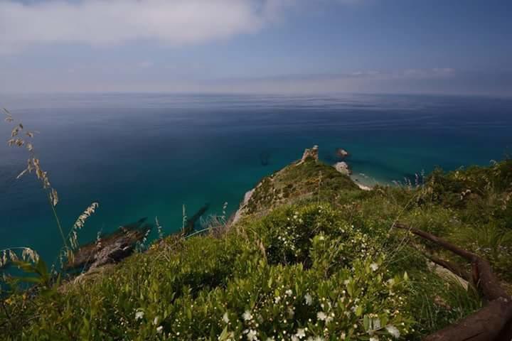 아셰아 Casa Vacanze Poggio Degli Ulivi 빌라 외부 사진